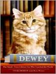 Dewey cat
