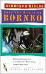 Into Borneo